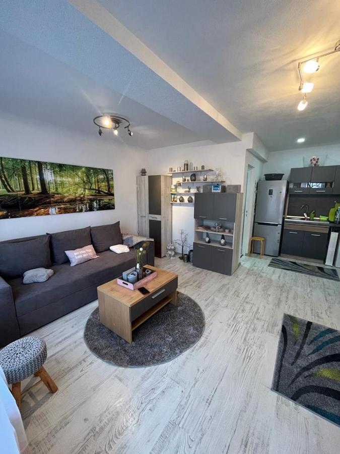 Apartament Acasa Sf.Gheorghe Sfântu-Gheorghe Екстериор снимка